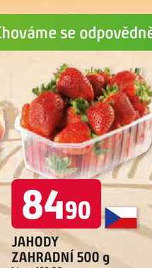 JAHODY ZAHRADNÍ 500 g