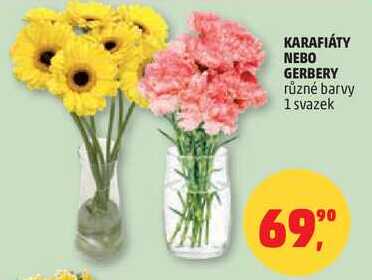 KARAFIÁTY NEBO GERBERY různé barvy, 1 svazek