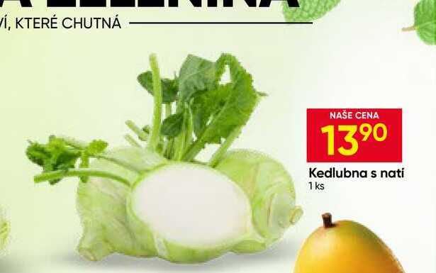 Kedlubna s natí 1 ks