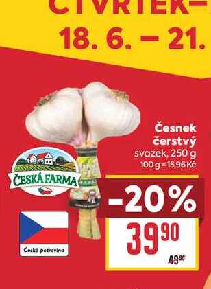 Česnek čerstvý svazek, 250 g